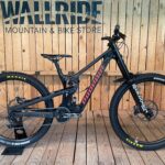 PROPAIN RAGE CF 29" #3 - Größe M - Testbike